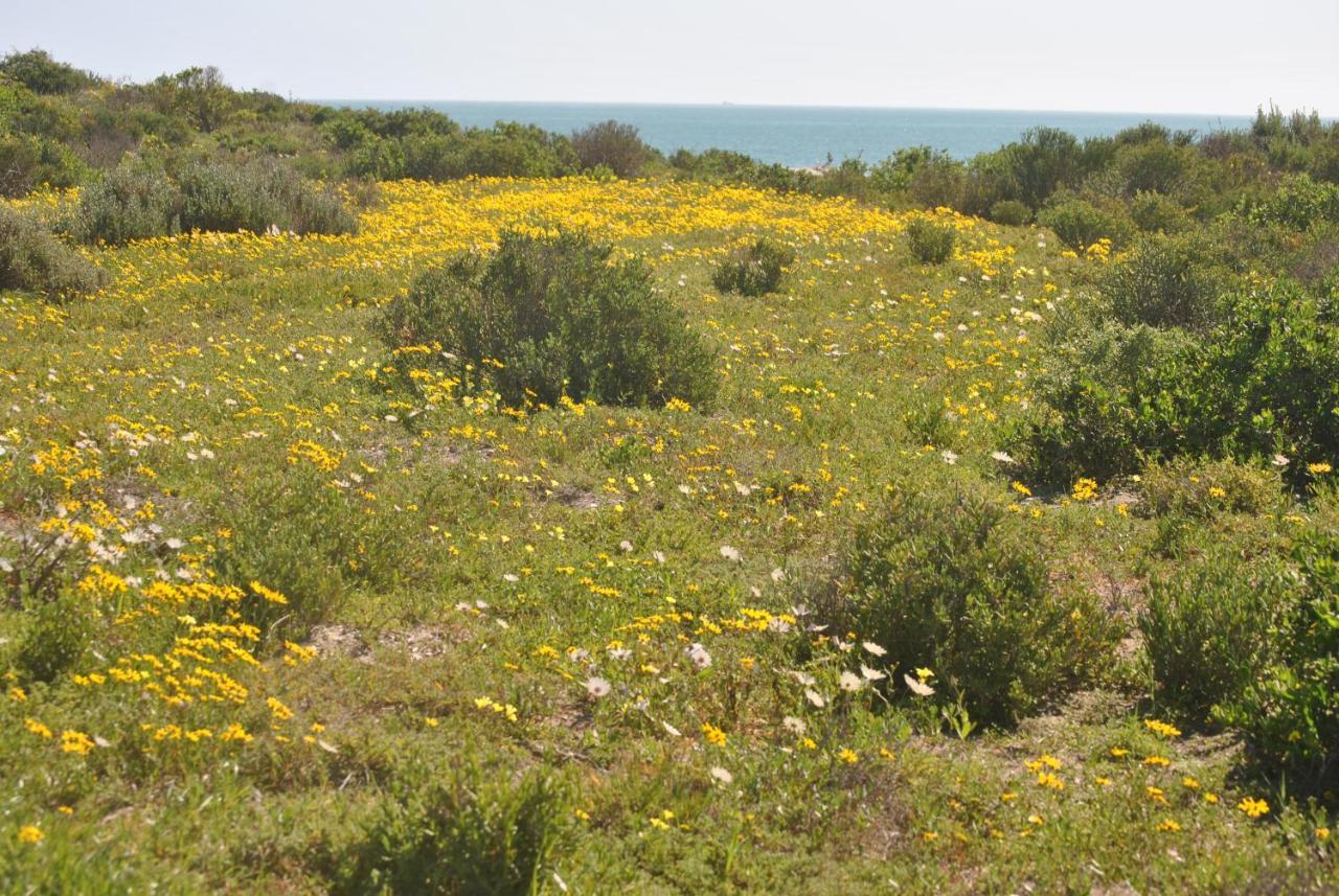 Stay At Bokkoms In Paternoster Self Catering Accommodation Exterior foto