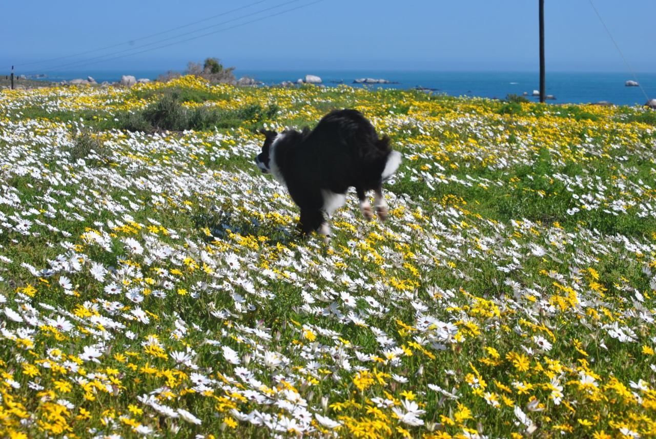 Stay At Bokkoms In Paternoster Self Catering Accommodation Exterior foto