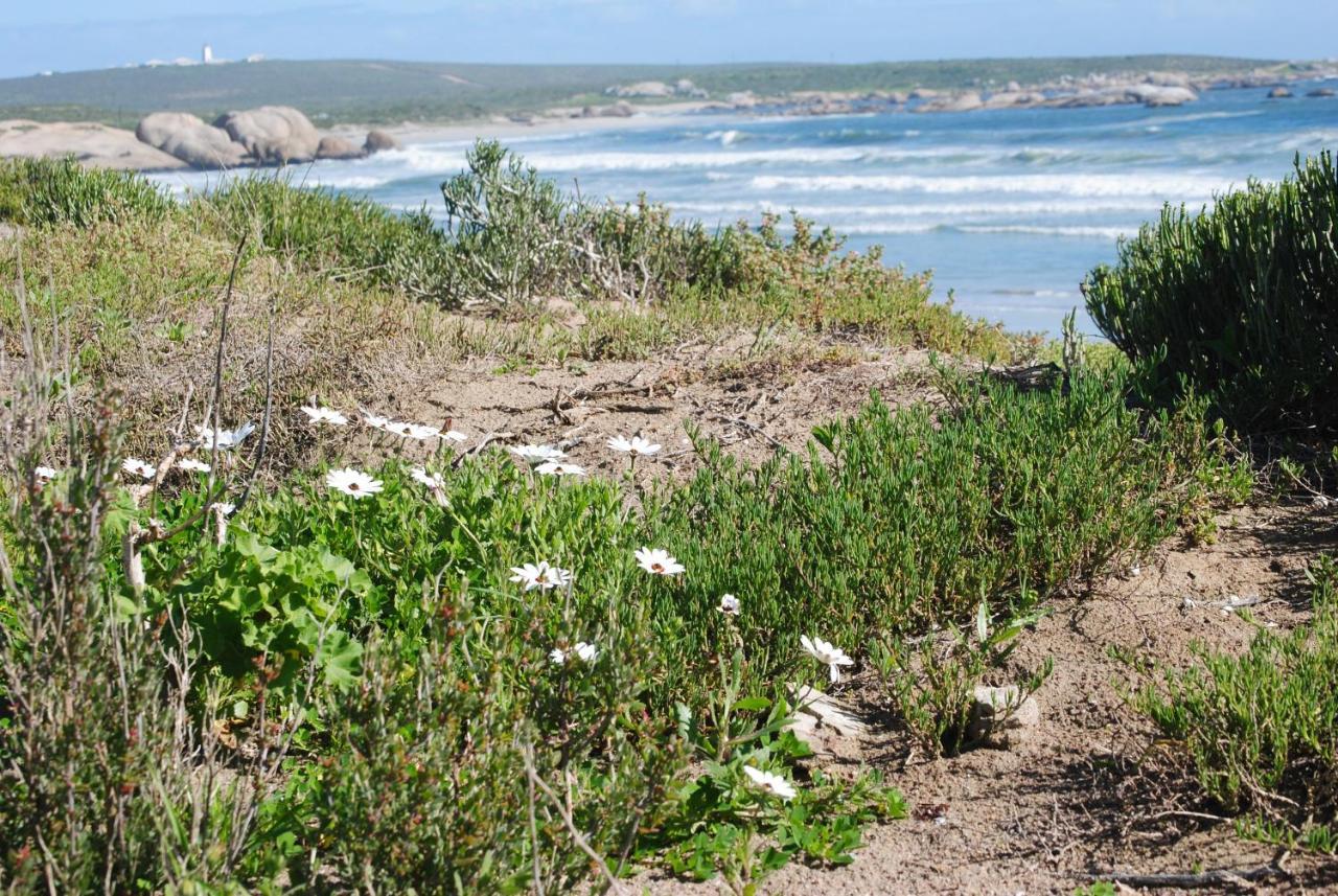 Stay At Bokkoms In Paternoster Self Catering Accommodation Exterior foto
