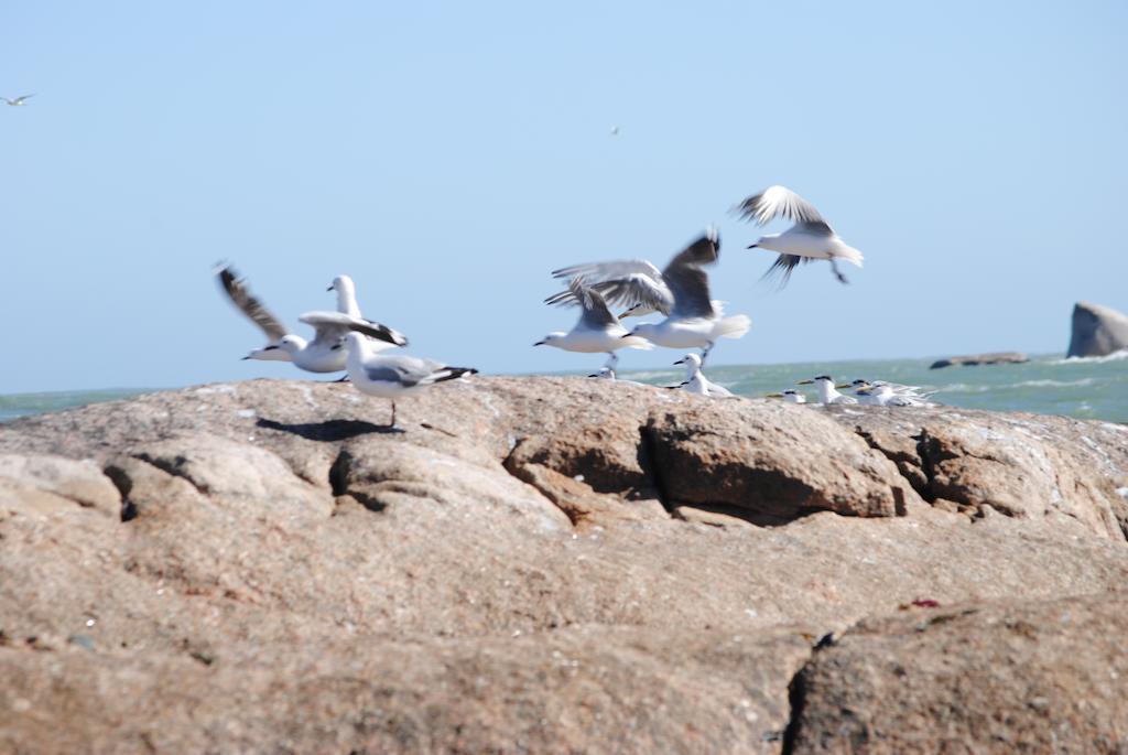 Stay At Bokkoms In Paternoster Self Catering Accommodation Exterior foto
