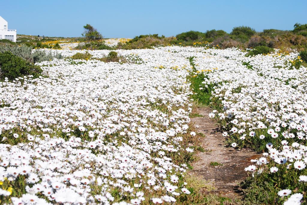 Stay At Bokkoms In Paternoster Self Catering Accommodation Exterior foto